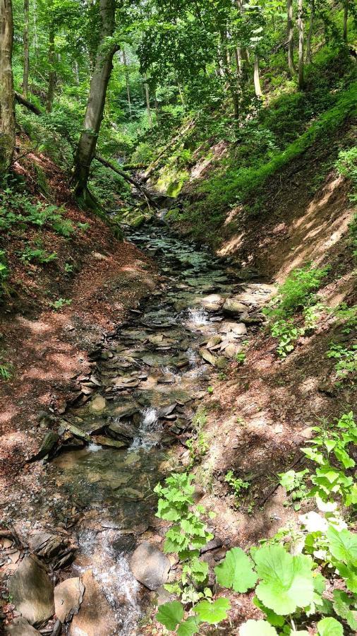 Vakantiehuisje Winterberg Esterno foto