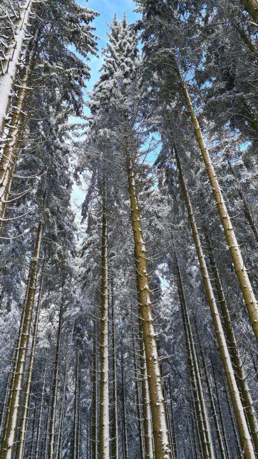 Vakantiehuisje Winterberg Esterno foto