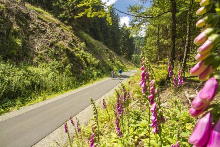 Vakantiehuisje Winterberg Esterno foto